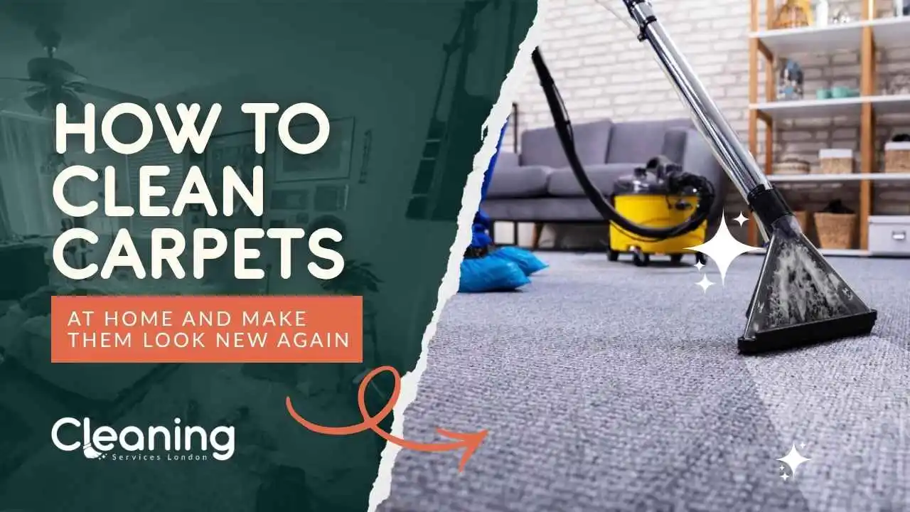 A clean carpet improves the appearance of your house.