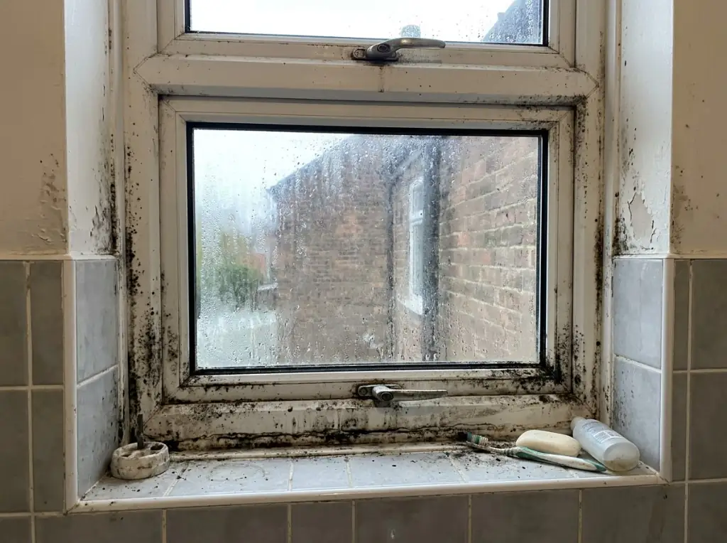 Black mould on bathroom window frame before treatment in Blackwall