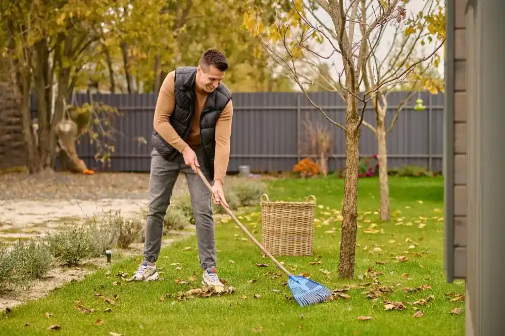 Gardener clearing leaves along a backyard fence line during garden maintenance